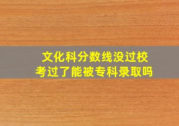 文化科分数线没过校考过了能被专科录取吗