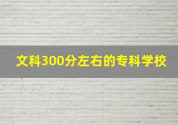 文科300分左右的专科学校