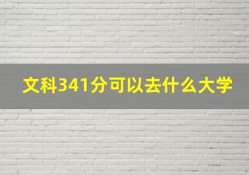 文科341分可以去什么大学