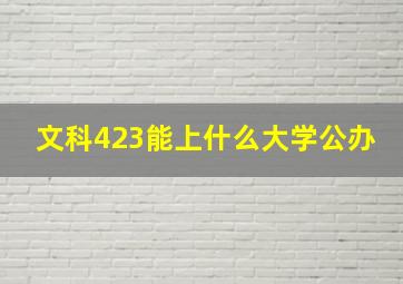 文科423能上什么大学公办