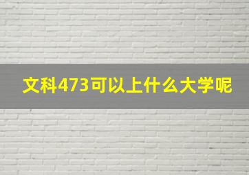 文科473可以上什么大学呢