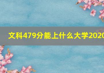 文科479分能上什么大学2020