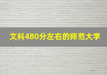 文科480分左右的师范大学