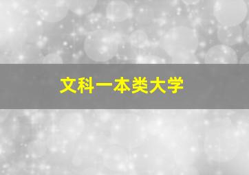 文科一本类大学