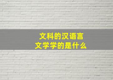 文科的汉语言文学学的是什么