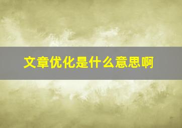 文章优化是什么意思啊