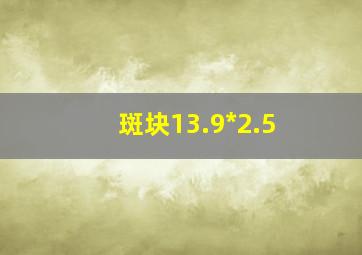 斑块13.9*2.5