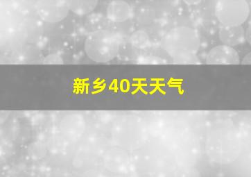 新乡40天天气