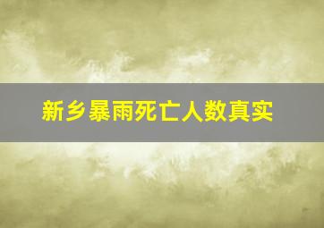 新乡暴雨死亡人数真实