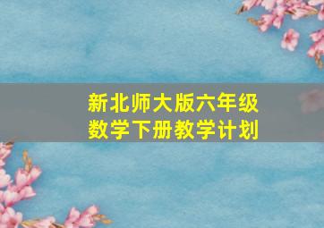 新北师大版六年级数学下册教学计划