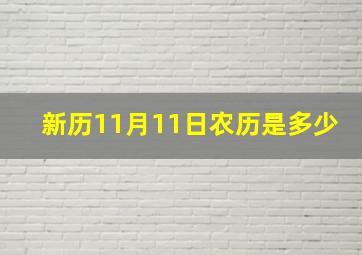 新历11月11日农历是多少