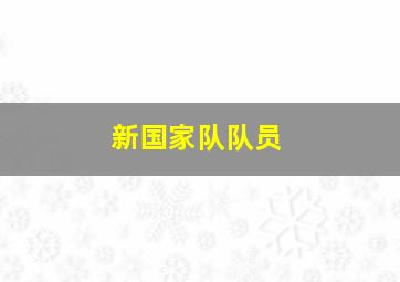 新国家队队员