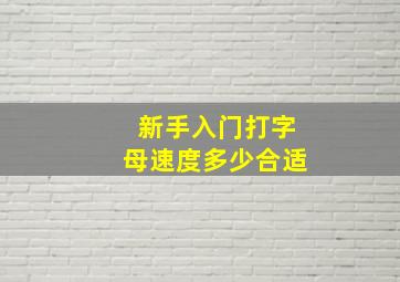 新手入门打字母速度多少合适