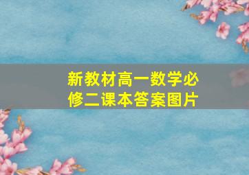 新教材高一数学必修二课本答案图片