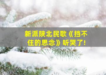 新派陕北民歌《挡不住的思念》听哭了!