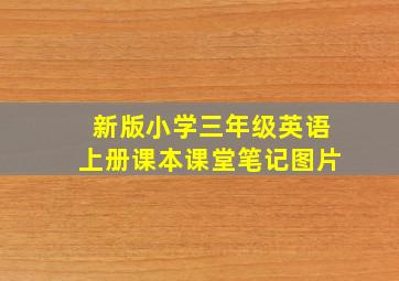 新版小学三年级英语上册课本课堂笔记图片