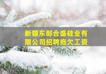 新疆东部合盛硅业有限公司招聘拖欠工资