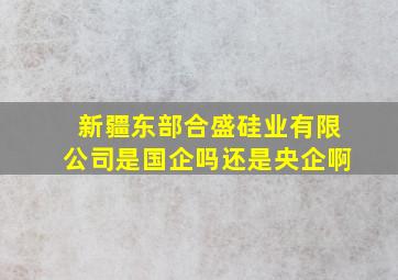 新疆东部合盛硅业有限公司是国企吗还是央企啊