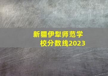 新疆伊犁师范学校分数线2023