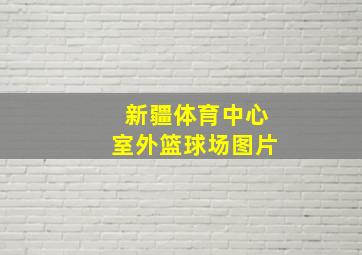 新疆体育中心室外篮球场图片