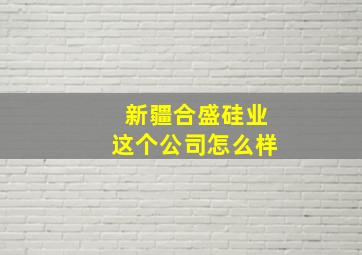 新疆合盛硅业这个公司怎么样