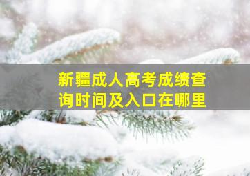 新疆成人高考成绩查询时间及入口在哪里