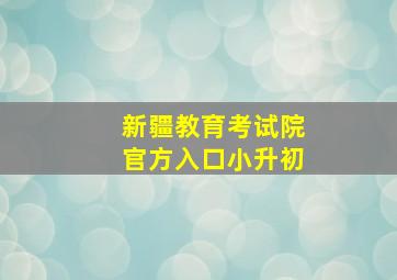 新疆教育考试院官方入口小升初