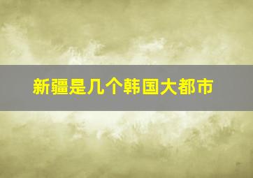 新疆是几个韩国大都市