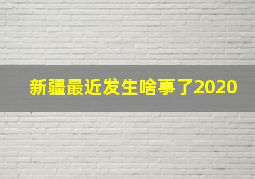 新疆最近发生啥事了2020