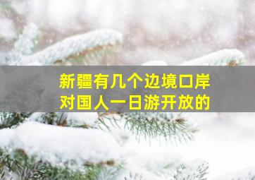 新疆有几个边境口岸对国人一日游开放的