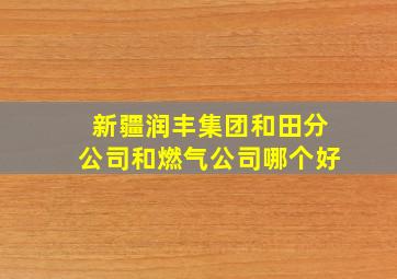 新疆润丰集团和田分公司和燃气公司哪个好