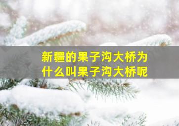 新疆的果子沟大桥为什么叫果子沟大桥呢