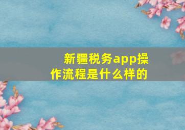 新疆税务app操作流程是什么样的