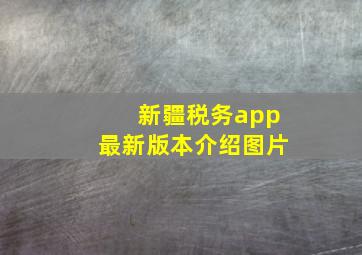 新疆税务app最新版本介绍图片