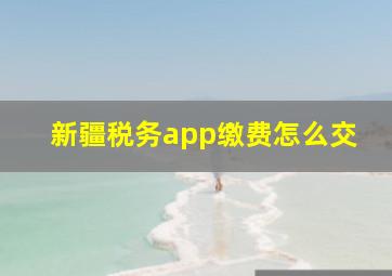 新疆税务app缴费怎么交