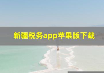 新疆税务app苹果版下载