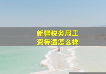 新疆税务局工资待遇怎么样