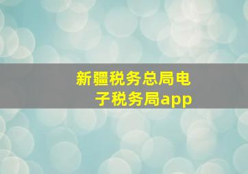 新疆税务总局电子税务局app