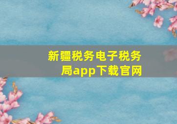 新疆税务电子税务局app下载官网