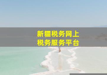 新疆税务网上税务服务平台