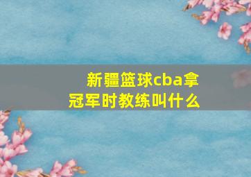 新疆篮球cba拿冠军时教练叫什么