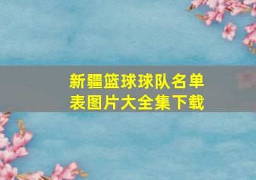 新疆篮球球队名单表图片大全集下载