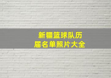 新疆篮球队历届名单照片大全