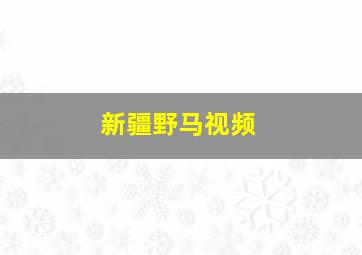 新疆野马视频