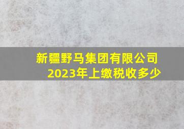 新疆野马集团有限公司2023年上缴税收多少