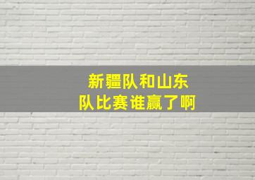 新疆队和山东队比赛谁赢了啊