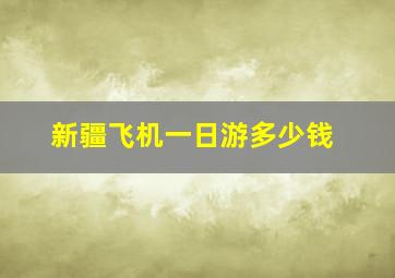 新疆飞机一日游多少钱