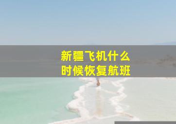 新疆飞机什么时候恢复航班