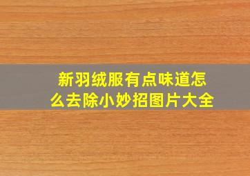 新羽绒服有点味道怎么去除小妙招图片大全