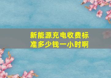 新能源充电收费标准多少钱一小时啊